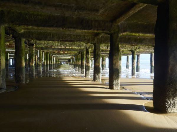 Concrete Pier Repair in San Rafael